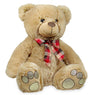 Huggable Brown Teddy Bear
