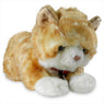 Cute Cat Soft Toy