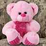 Lovable Pink Teddy Bear