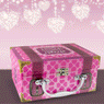 Surprise Teddy Box